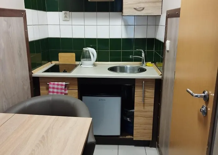 Apartment Manhattan Teplice